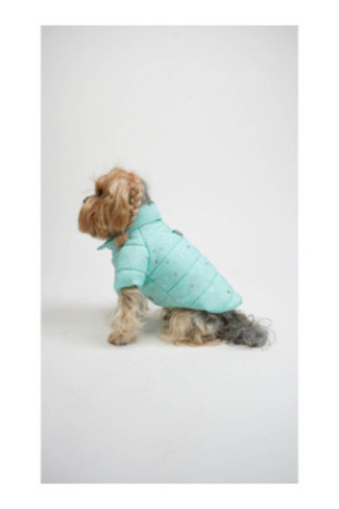 Sweat à capuche pour chien - Bleu