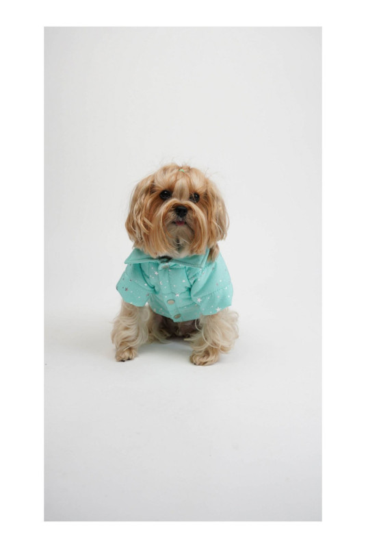 Sweat à capuche pour chien - Bleu