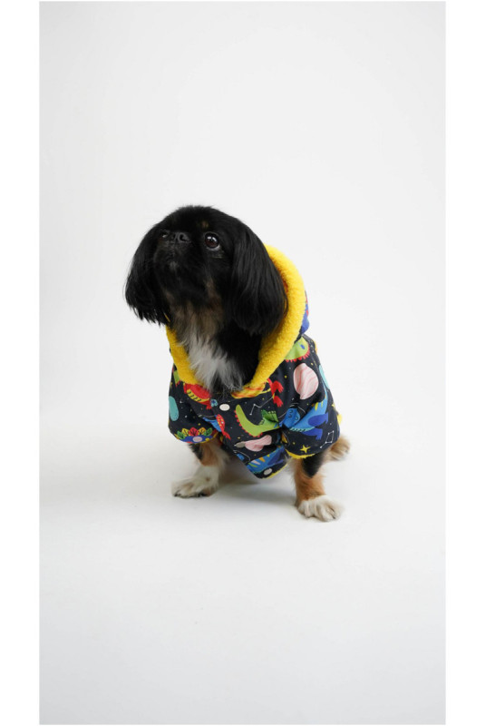 Sweat à capuche pour chien - Multicolore