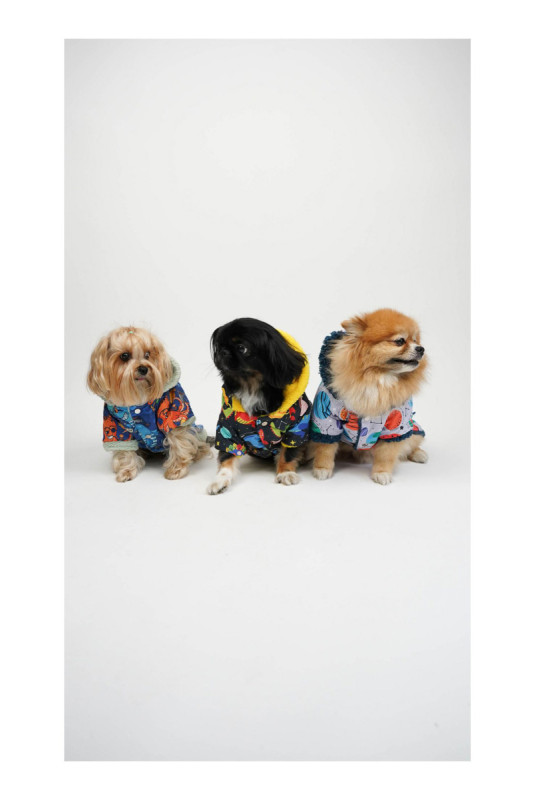 Sweat à capuche pour chien - Multicolore