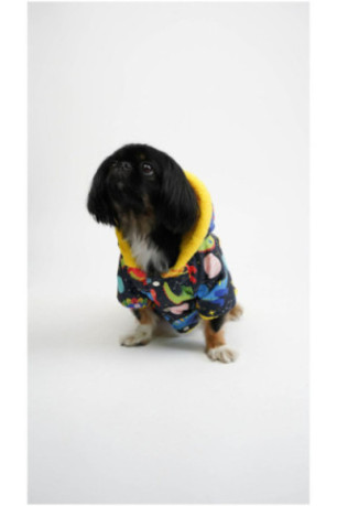 Sweat à capuche pour chien - Multicolore