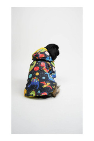 Sweat à capuche pour chien - Multicolore