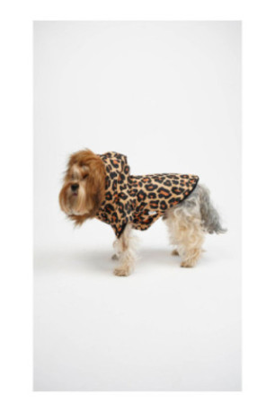 Sweat à capuche pour chien - Multicolore