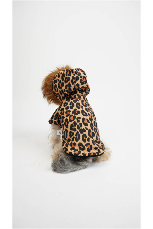 Sweat à capuche pour chien - Multicolore