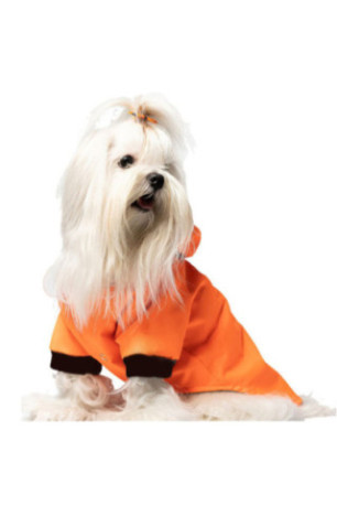 Sweat à capuche pour chien - Orange