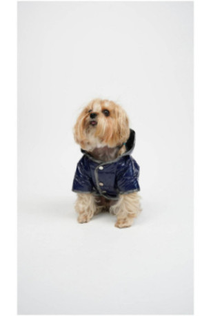 Sweat à capuche pour chien - Indigo