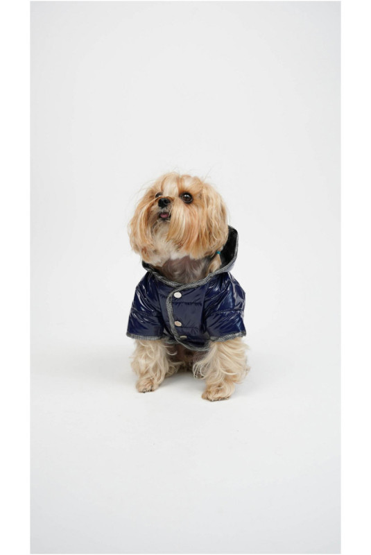 Sweat à capuche pour chien - Indigo