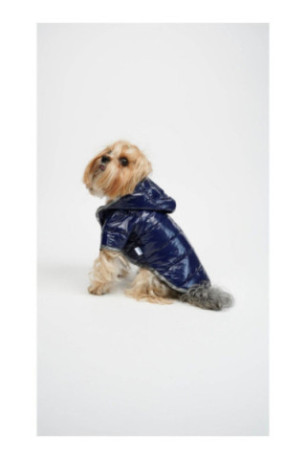 Sweat à capuche pour chien - Indigo
