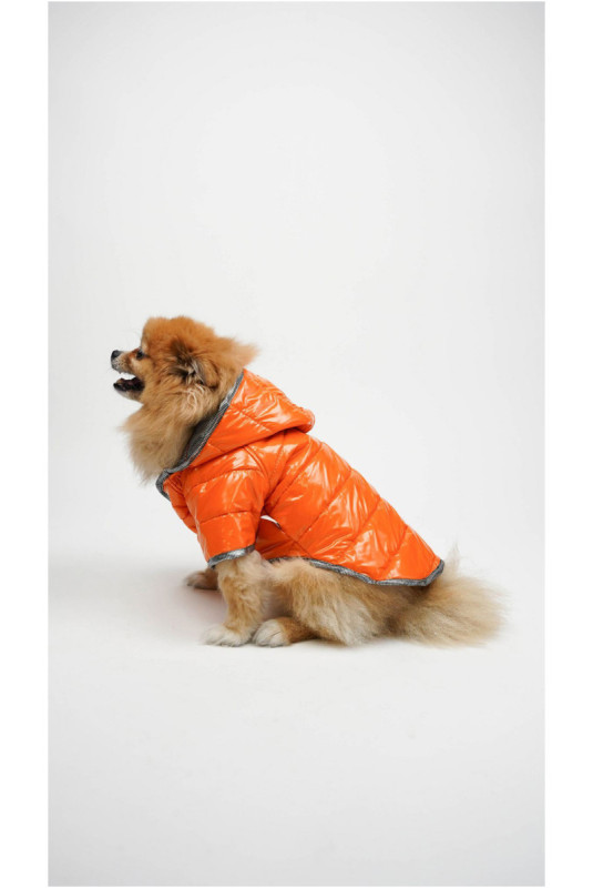 Sweat à capuche pour chien - Orange