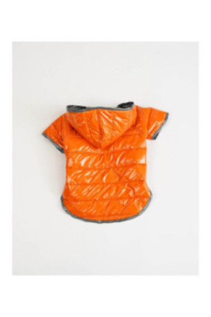 Sweat à capuche pour chien - Orange