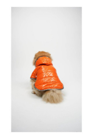 Sweat à capuche pour chien - Orange
