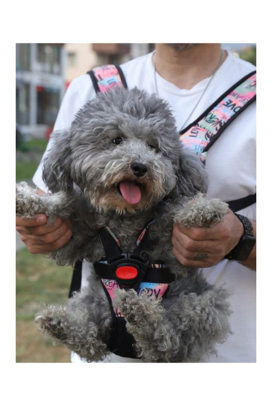 Porte-chien ventral - Rose