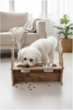 Gamelle pour animaux - Multicolore