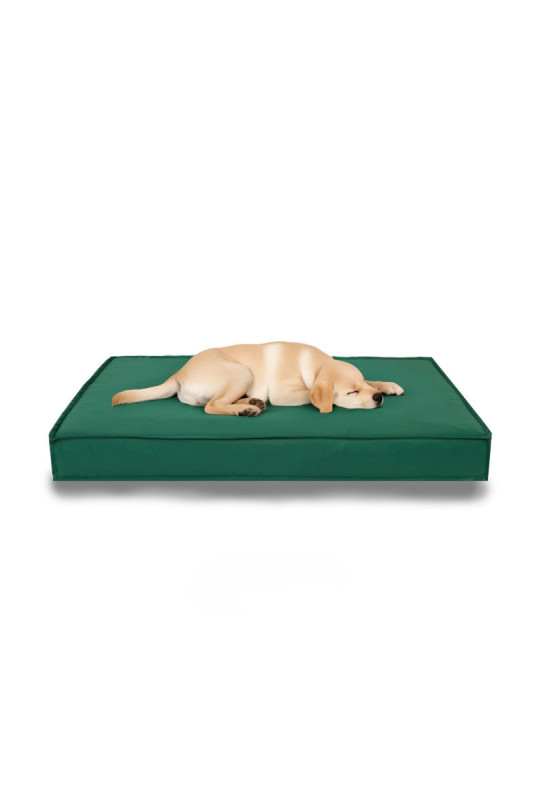 Lit pour animaux - Vert