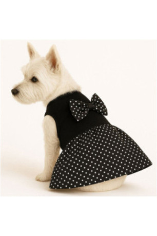 Sweat à capuche pour chien - Noir