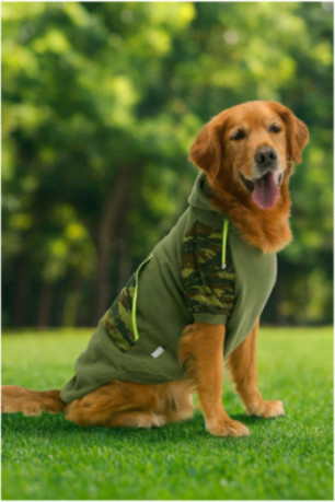 Sweat à capuche pour chien - Kaki