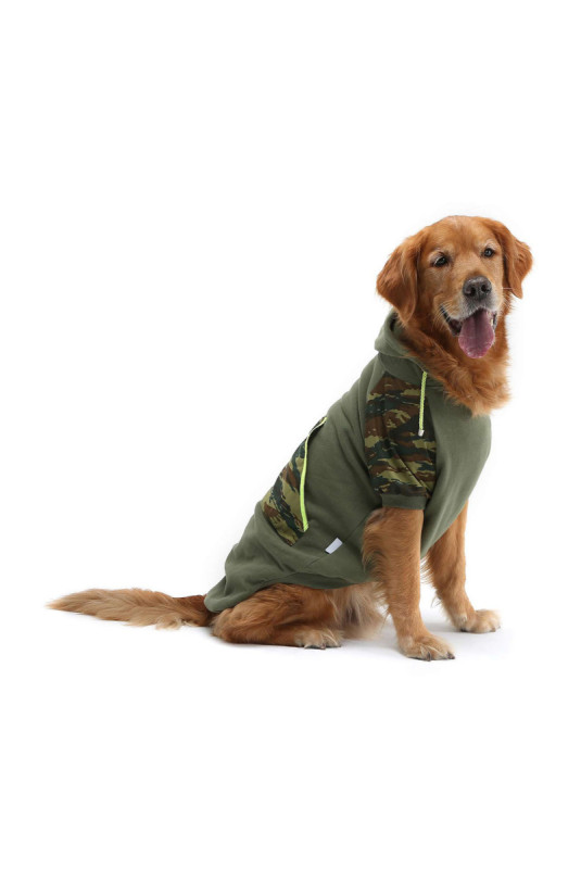 Sweat à capuche pour chien - Kaki