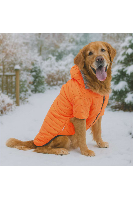 Sweat à capuche pour chien - Orange