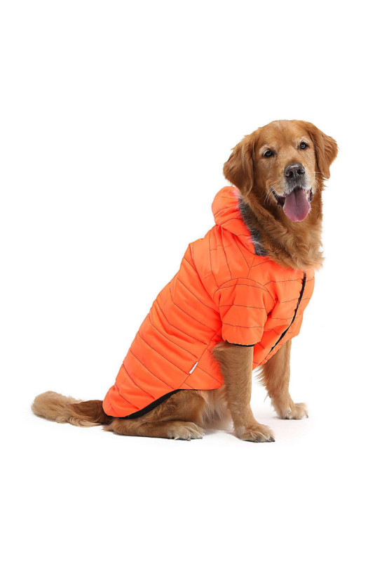 Sweat à capuche pour chien - Orange