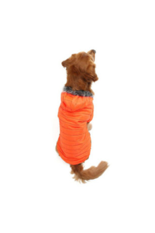 Sweat à capuche pour chien - Orange