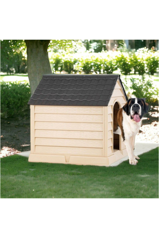 Maison pour animaux - Champagne amer