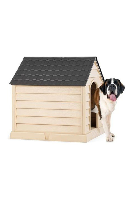Maison pour animaux - Champagne amer