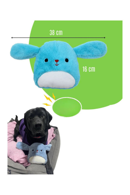Jouet pour chien - Bleu