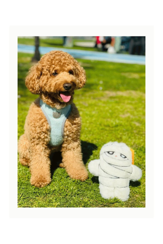 Jouet pour chien - Blanc