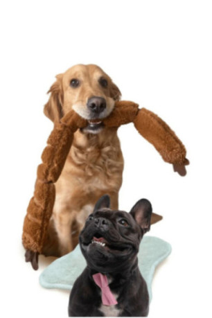 Jouet pour chien - Brun