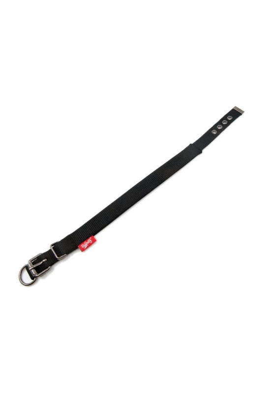 Collier pour chien - Noir