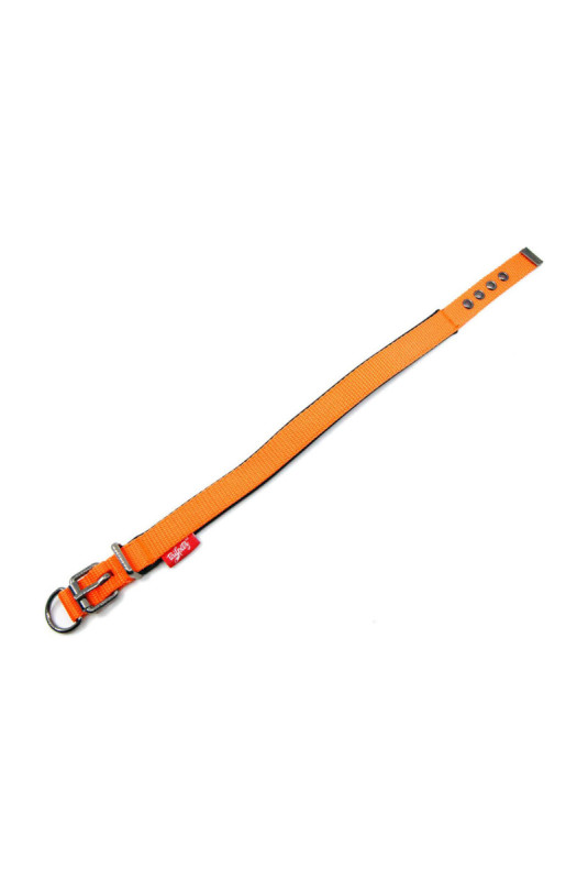 Collier pour chien - Orange