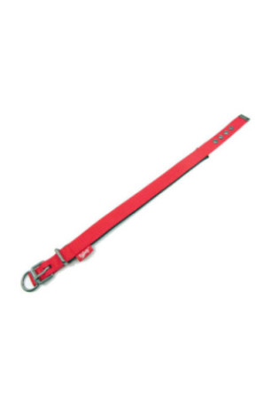 Collier pour chien - Rouge