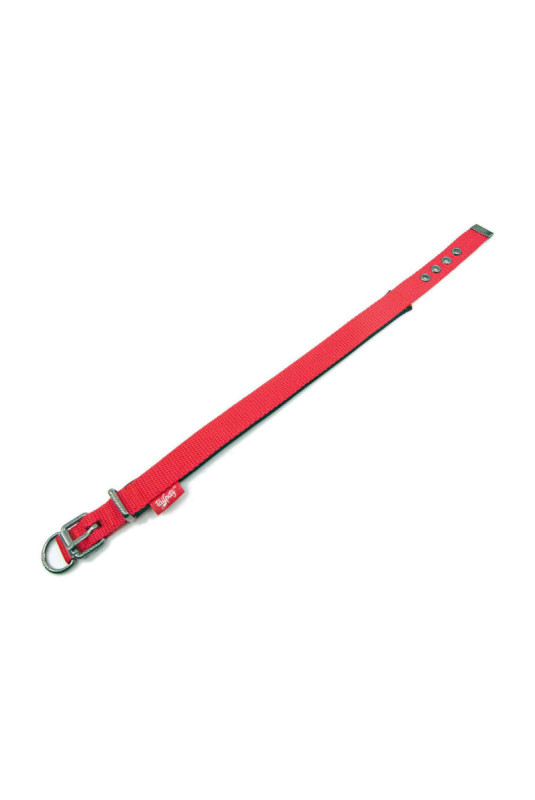 Collier pour chien - Rouge