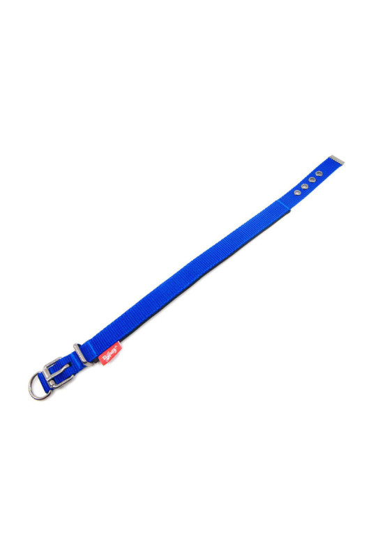 Collier pour chien - Sax Blue