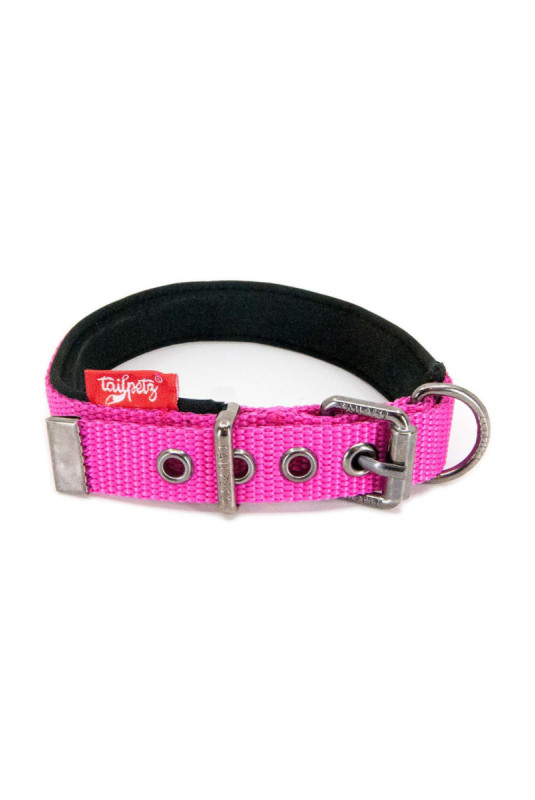 Collier pour chien - Fuchsia