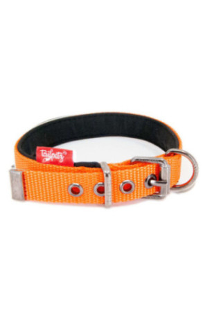 Collier pour chien - Orange