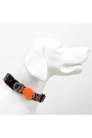 Collier pour chien - Multicolore