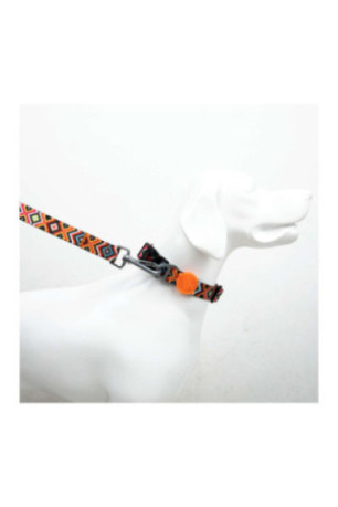 Collier pour chien - Multicolore