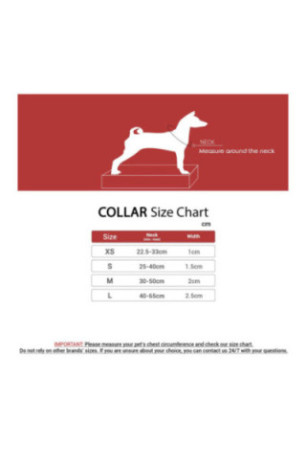 Collier pour chien - Multicolore
