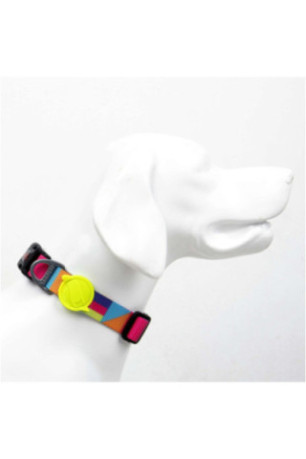 Collier pour chien - Multicolore