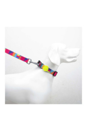 Collier pour chien - Multicolore
