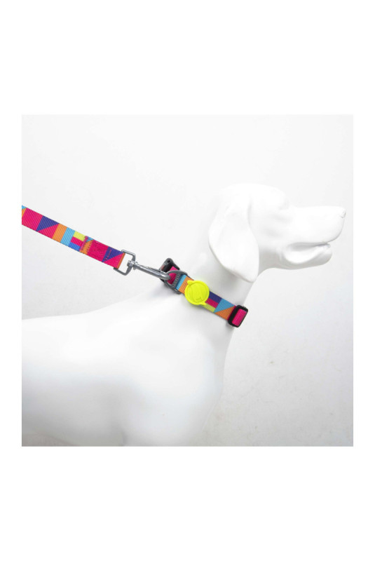 Collier pour chien - Multicolore