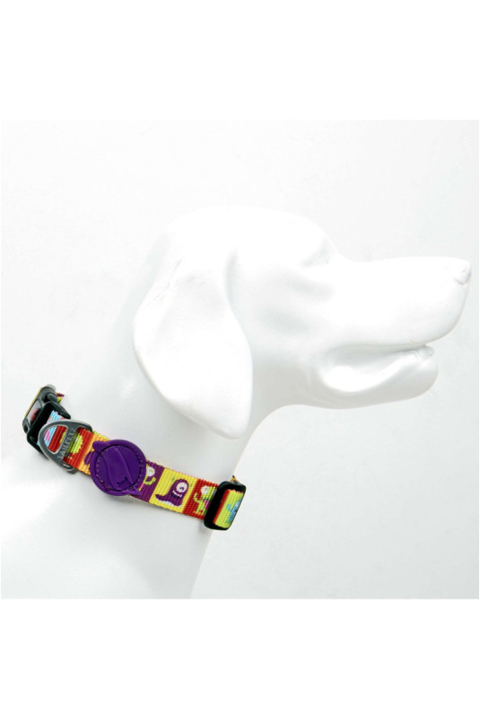 Collier pour chien - Multicolore