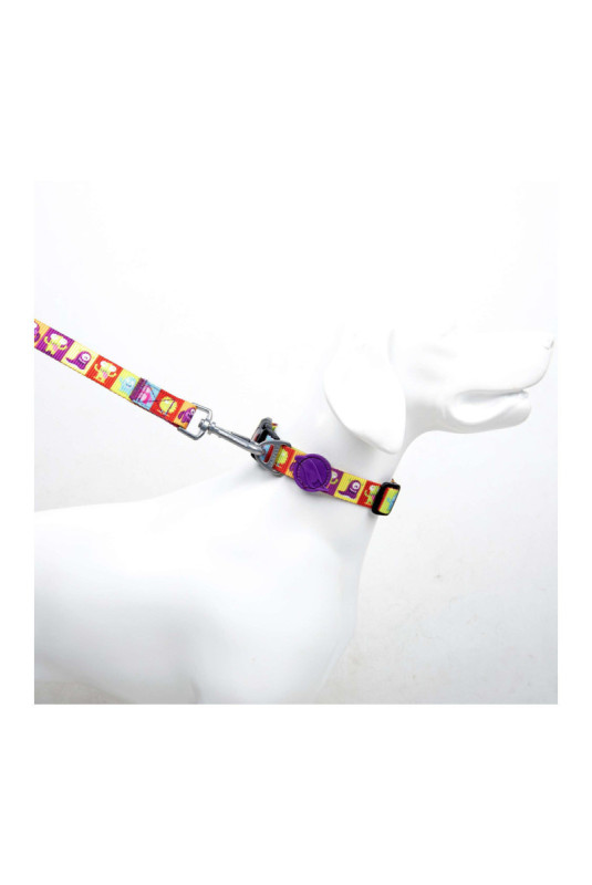 Collier pour chien - Multicolore