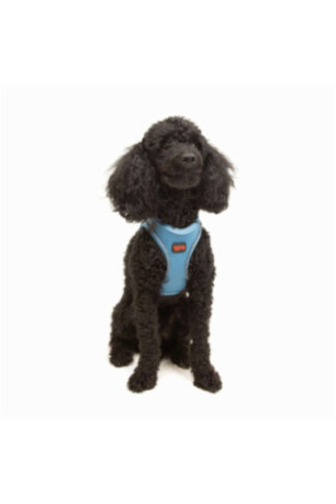 Harnais pour chien - Bleu