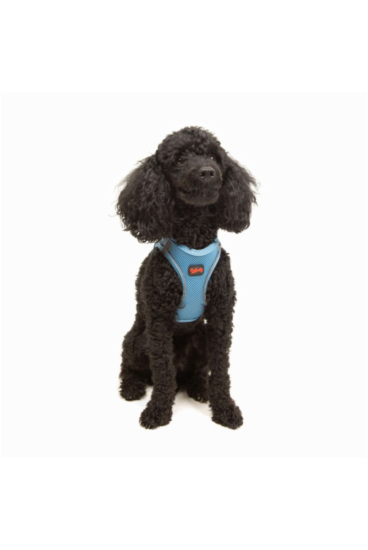 Harnais pour chien - Bleu