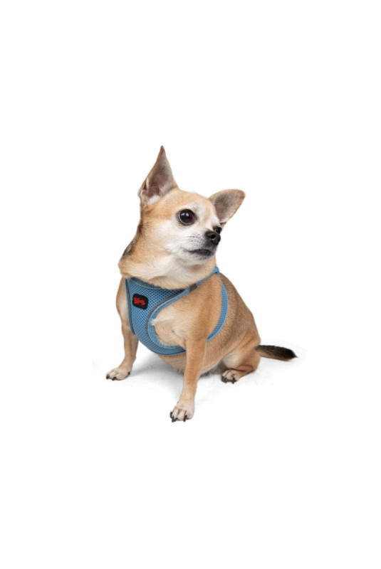 Harnais pour chien - Bleu