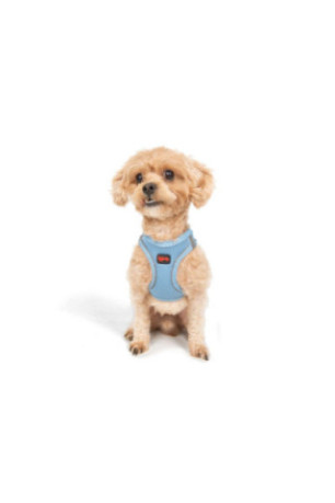 Harnais pour chien - Bleu