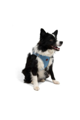 Harnais pour chien - Bleu