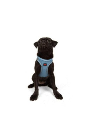 Harnais pour chien - Bleu